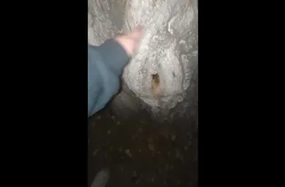 Peyton rudy indulges in public orgy with a cool cunny in the forest