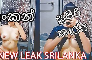 Indian Mallu Bhabi Torrid Shower xxx