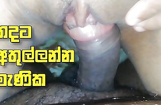 Srilankan wife blowjob best - sinhala fresh thadata athullanna manika